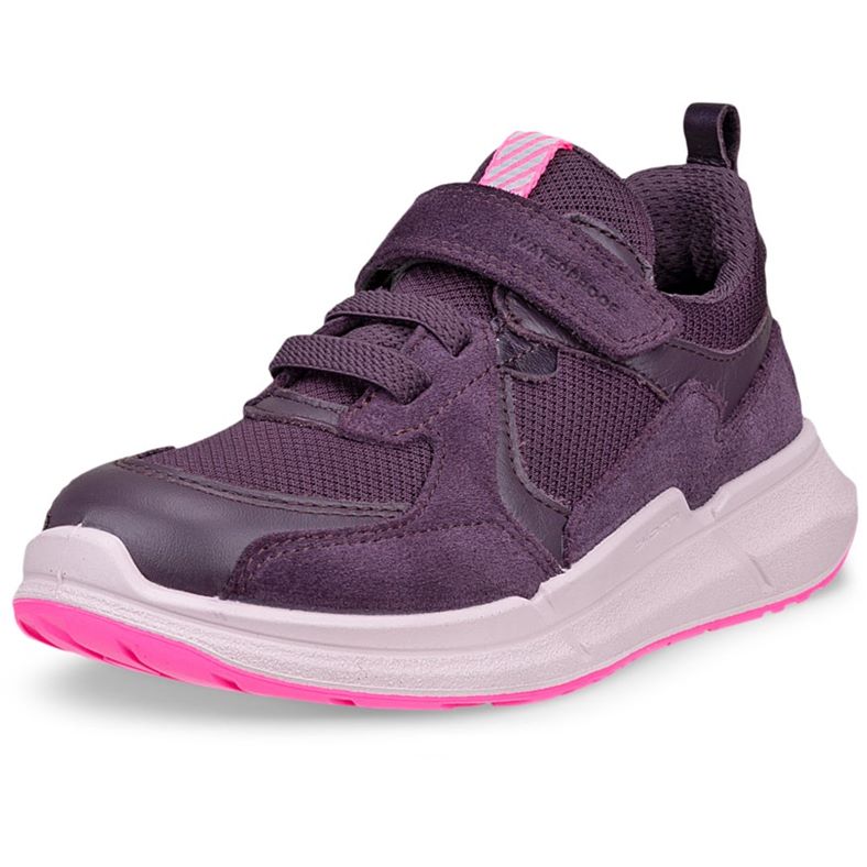 ECCO BIOM 2.2 K (Purple)