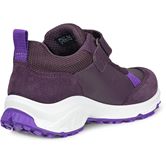 ECCO RECEPTOR XP K (Purple)
