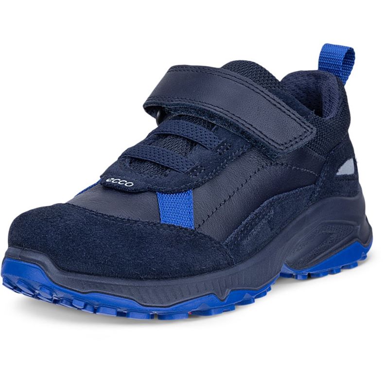 ECCO RECEPTOR XP K (Blue)