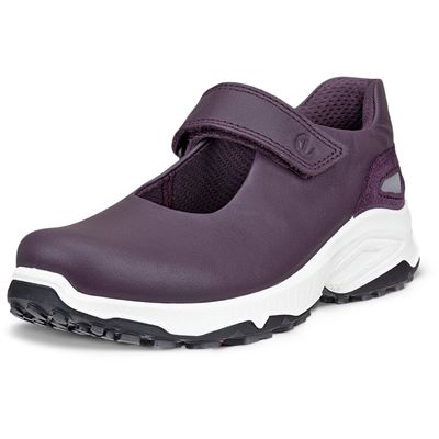 ECCO RECEPTOR XP K