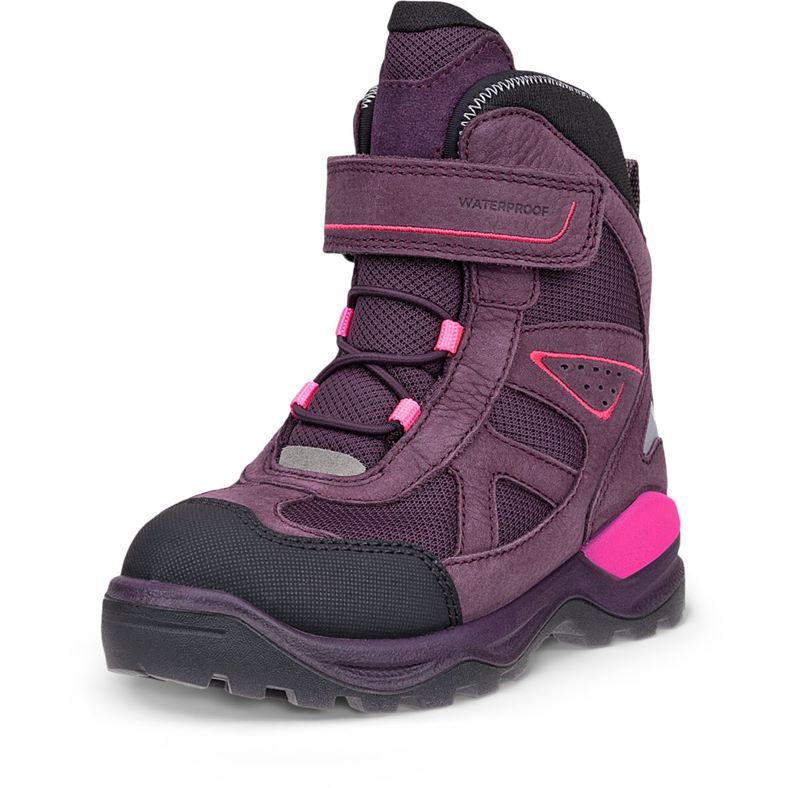 ECCO SNOW MOUNTAIN (Purple)