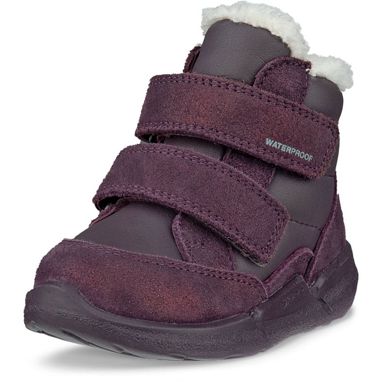 ECCO BIOM 2.2 INFANT (Purple)