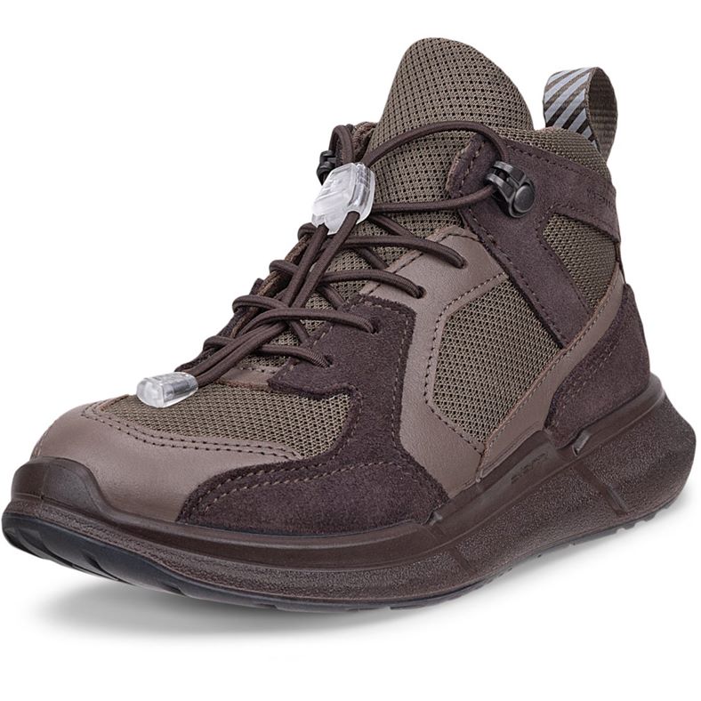 ECCO BIOM 2.2 K (Brown)