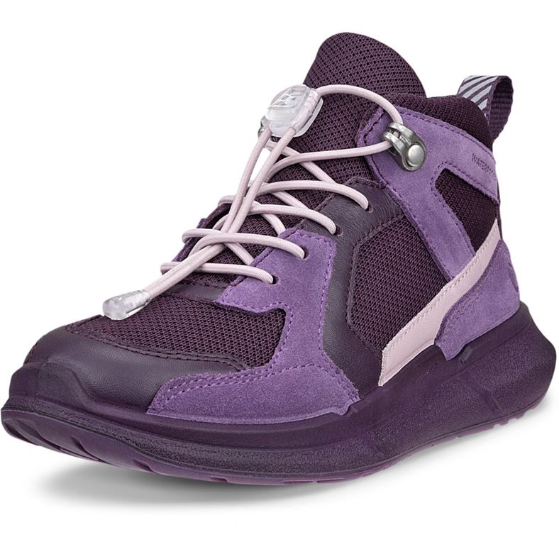 ECCO BIOM 2.2 K