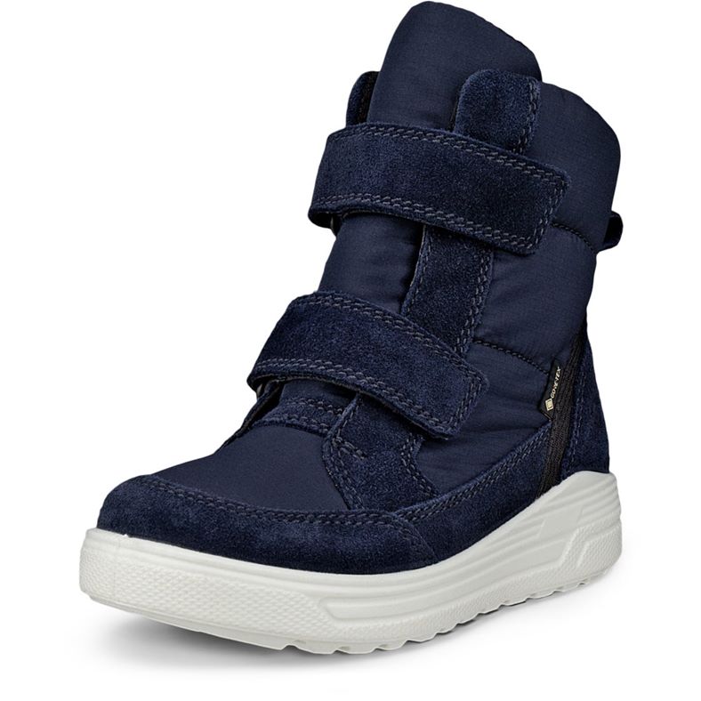 ECCO URBAN SNOWBOARDER (Blue)
