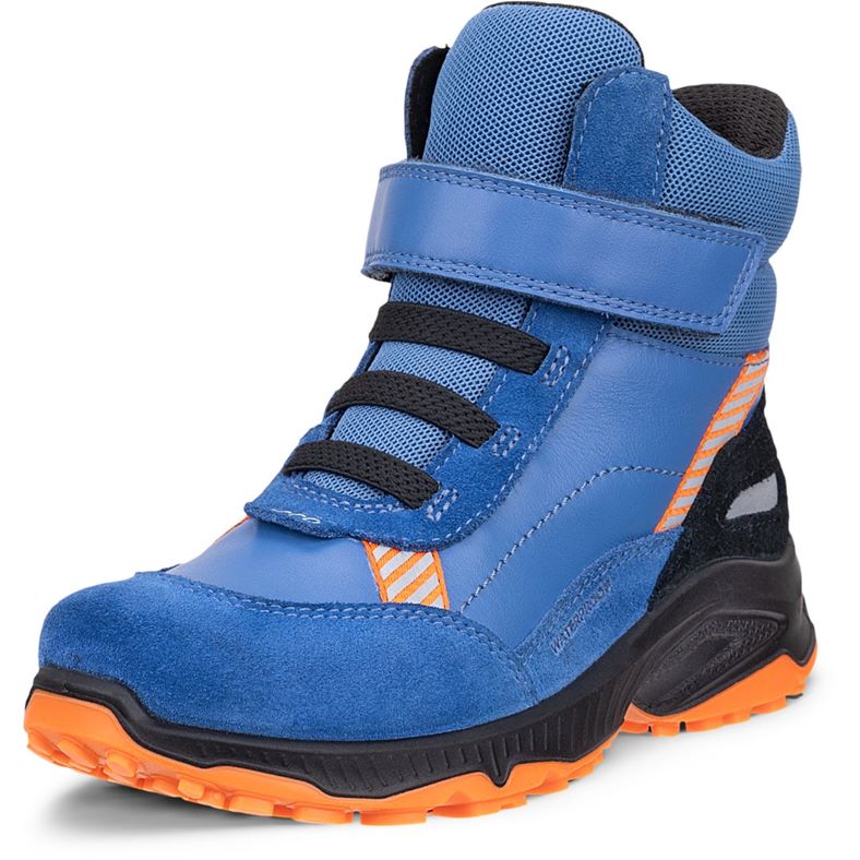 ECCO RECEPTOR XP K (Blue)