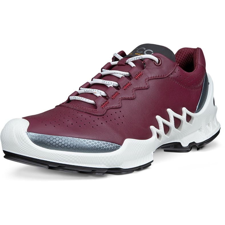 ECCO BIOM AEX W (Red)