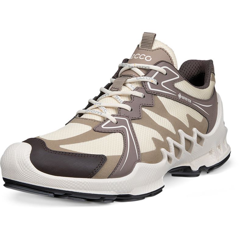ECCO BIOM AEX W (Brown)