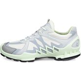 ECCO BIOM AEX W (Grey)