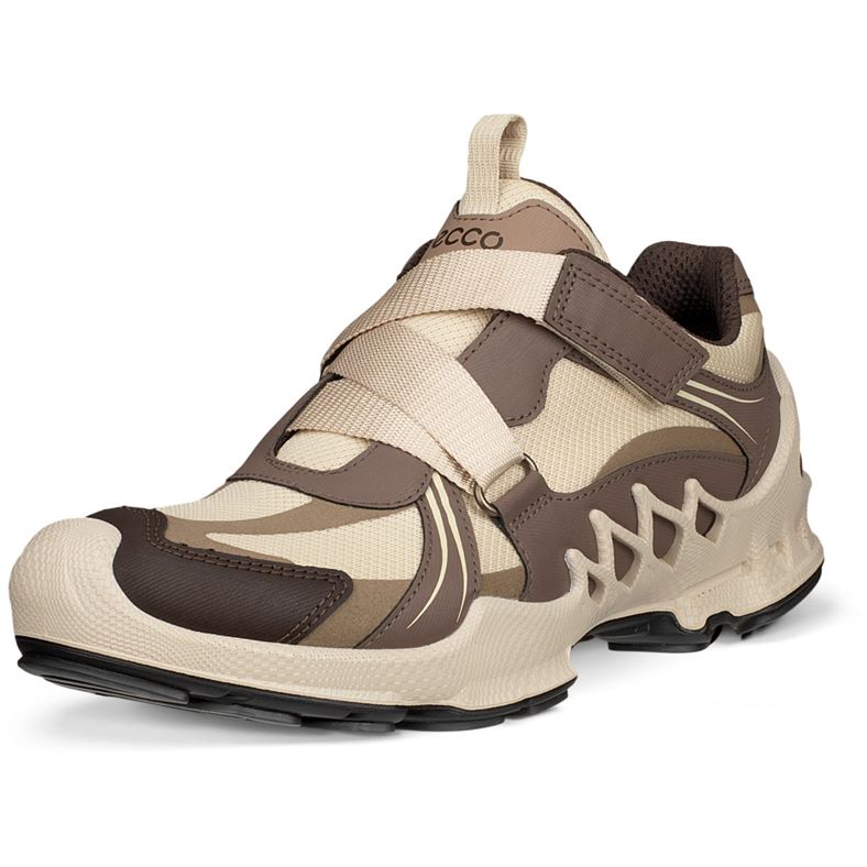 ECCO BIOM AEX W (Brown)