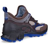 ECCO BIOM C-TRAIL W (Brown)