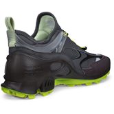 ECCO BIOM C-TRAIL W (Grey)