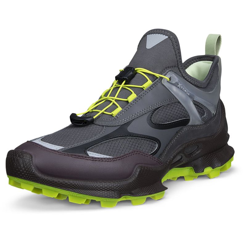ECCO BIOM C-TRAIL W (Grey)