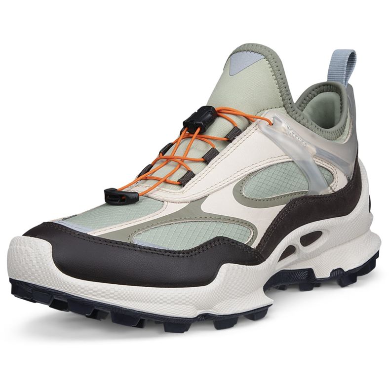 ECCO BIOM C-TRAIL W