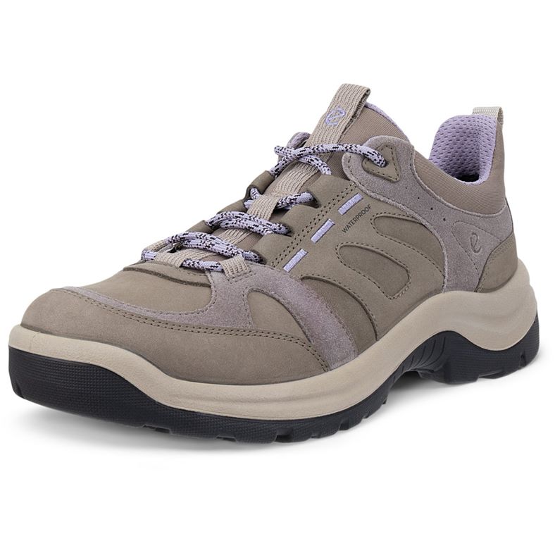 ECCO OFFROAD W (Grey)
