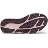 ECCO BIOM 2.2 MAX W (Grey)