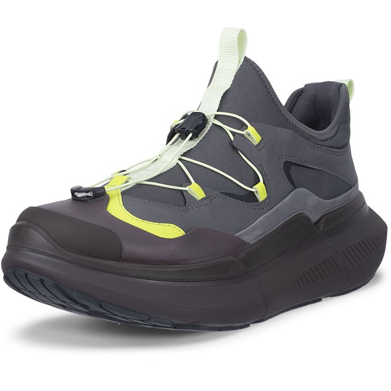 ECCO BIOM 2.2 MAX W (Grey)