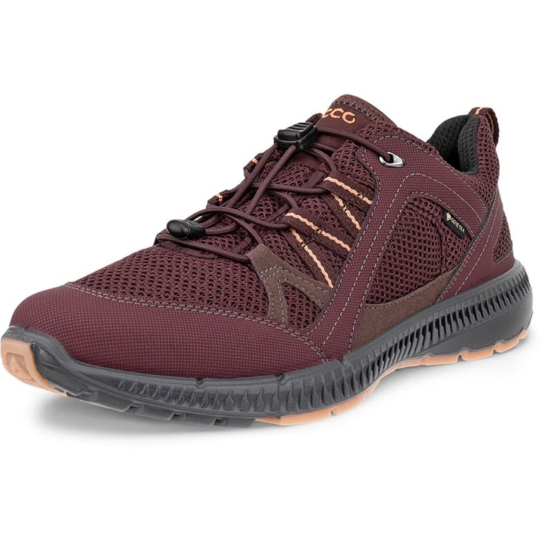 ECCO TERRACRUISE II W (Purple)