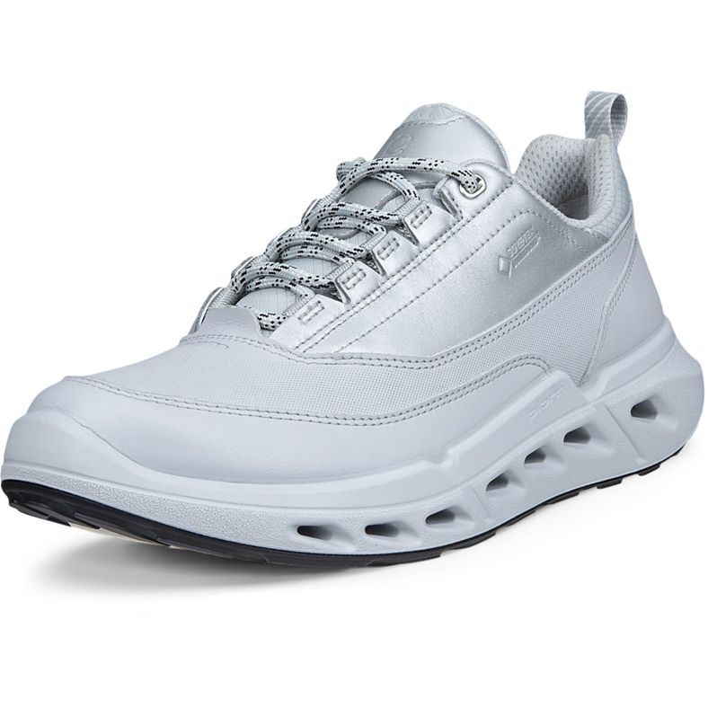 ECCO BIOM 720 W (Grey)