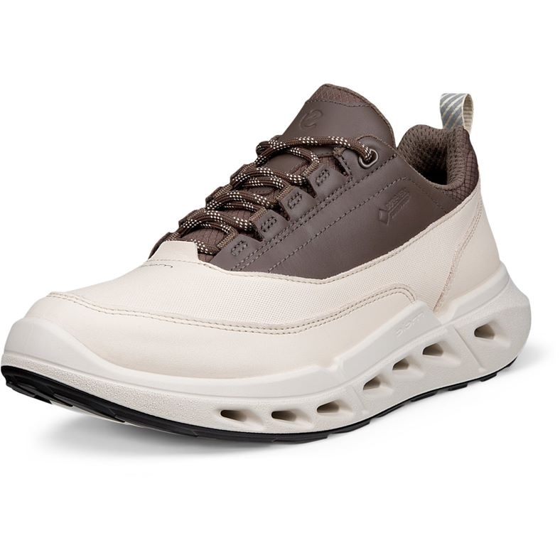 ECCO BIOM 720 W