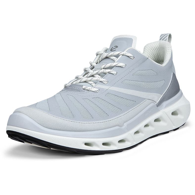 ECCO BIOM 720 W (Grey)