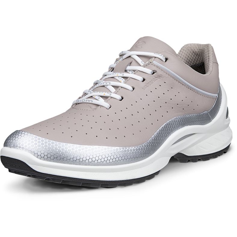 ECCO BIOM ENERGI W (Grey)