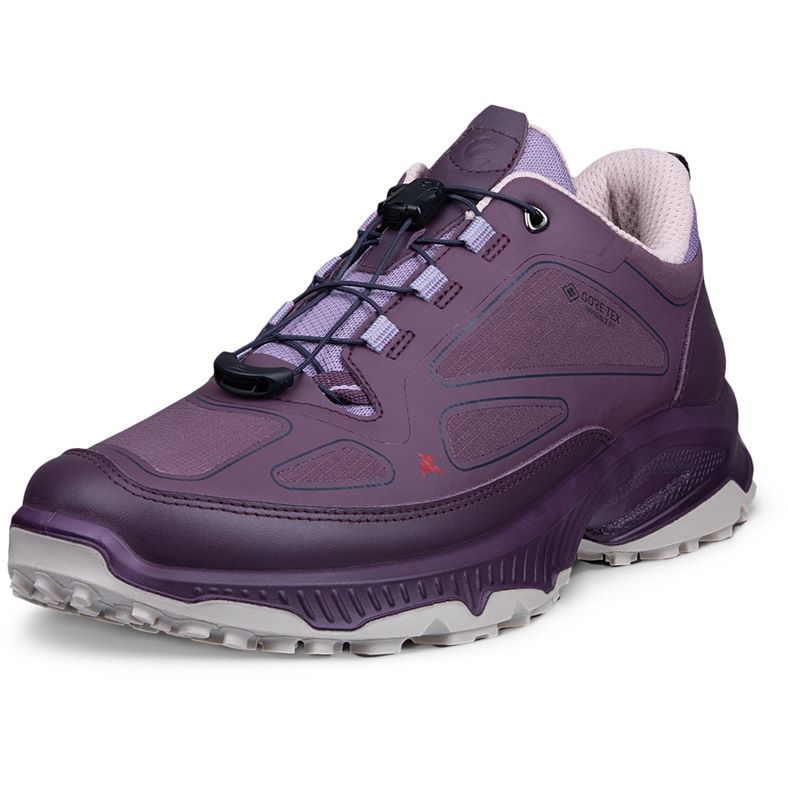 ECCO RECEPTOR XP W (Purple)