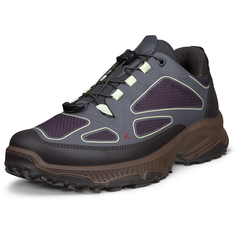 ECCO RECEPTOR XP W (Grey)