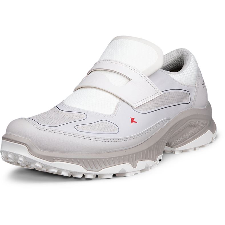 ECCO RECEPTOR XP W (Grey)