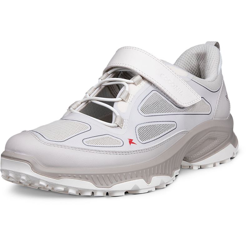 ECCO RECEPTOR XP W