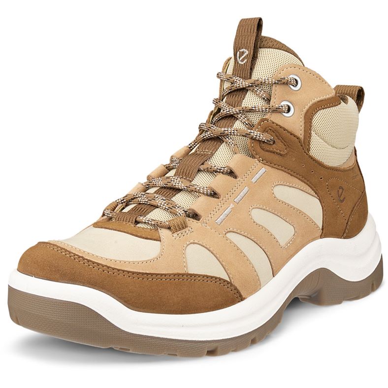 ECCO OFFROAD W (Brown)
