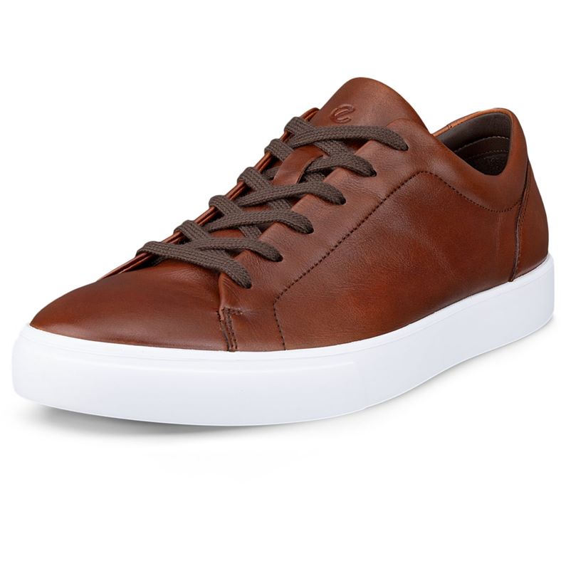 ECCO SOFT 10 M (Brown)