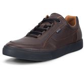 ECCO SOFT 10 M (Brown)