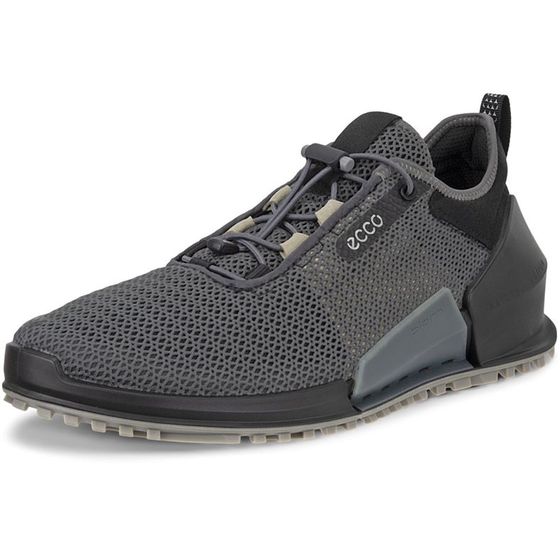 ECCO BIOM 2.0 M (Grey)