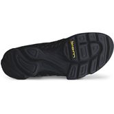 ECCO BIOM AEX M (Black)