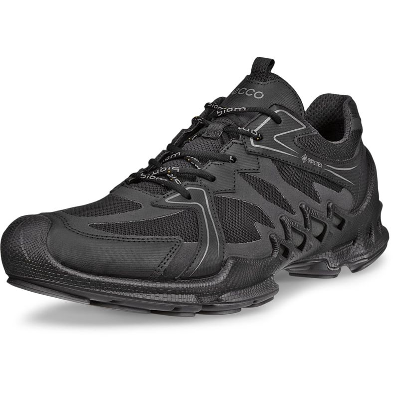 ECCO BIOM AEX M (Black)