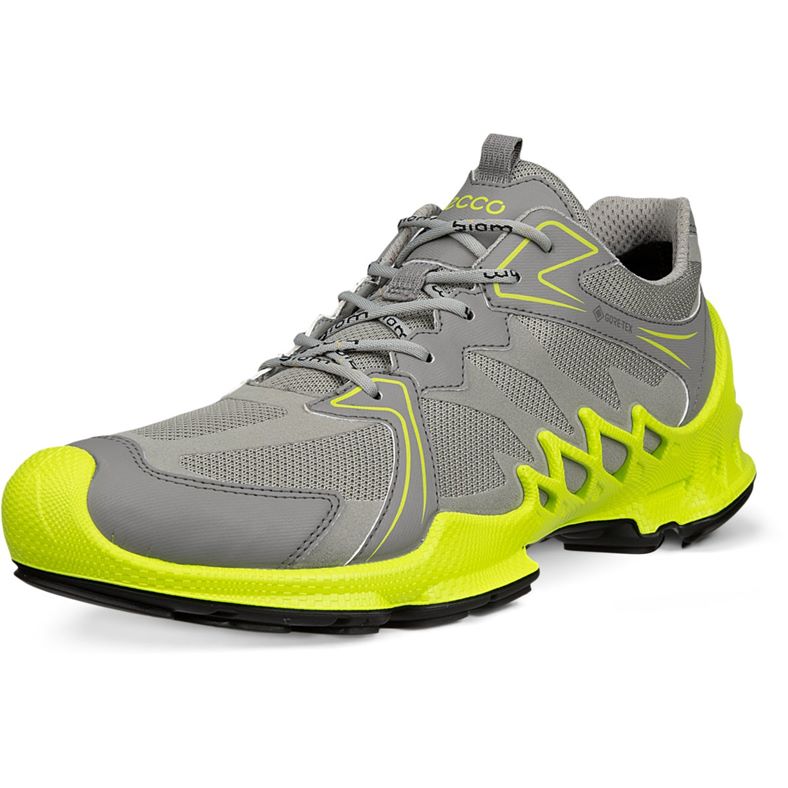 ECCO BIOM AEX M (Grey)