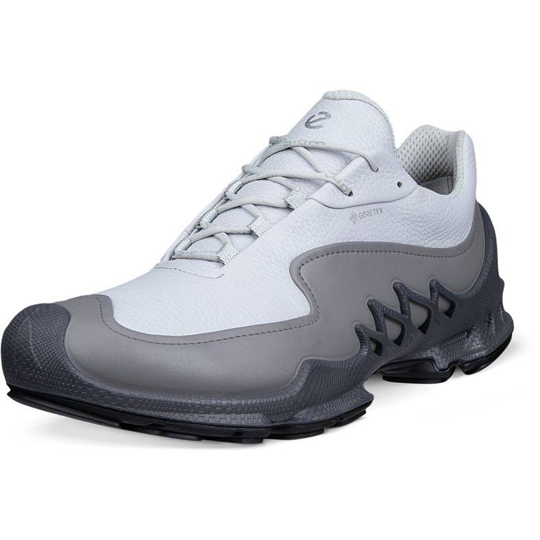 ECCO BIOM AEX M (Grey)