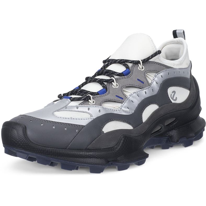 ECCO BIOM C-TRAIL M (Grey)