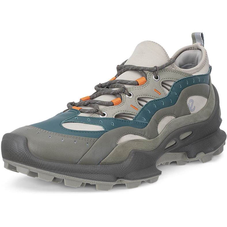 ECCO BIOM C-TRAIL M (Green)