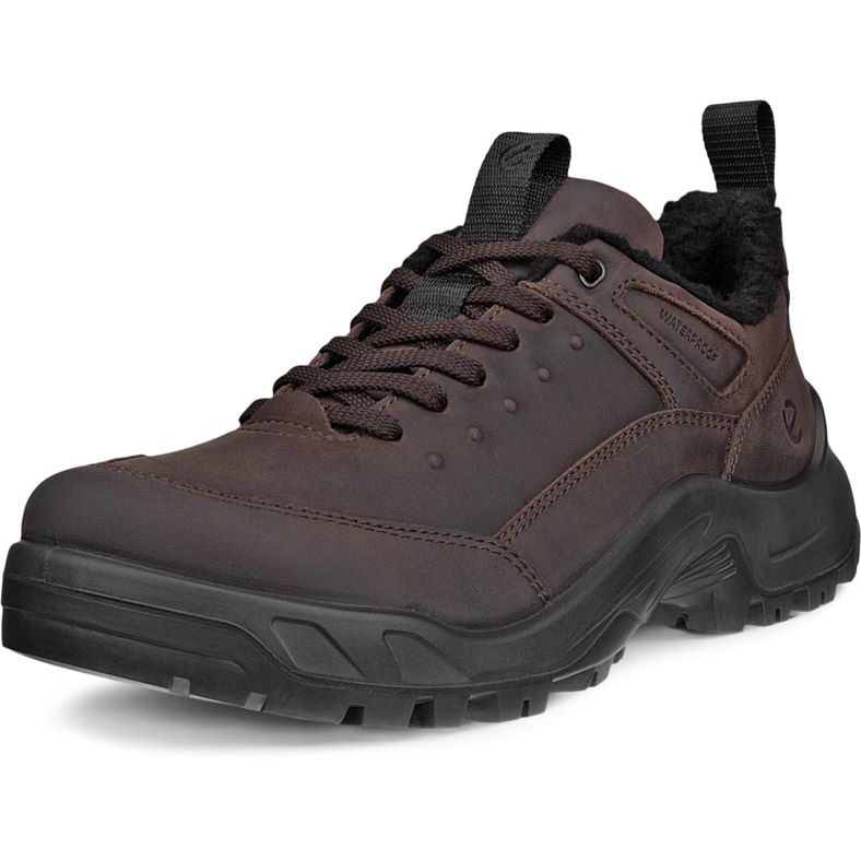 ECCO OFFROAD M (Brown)
