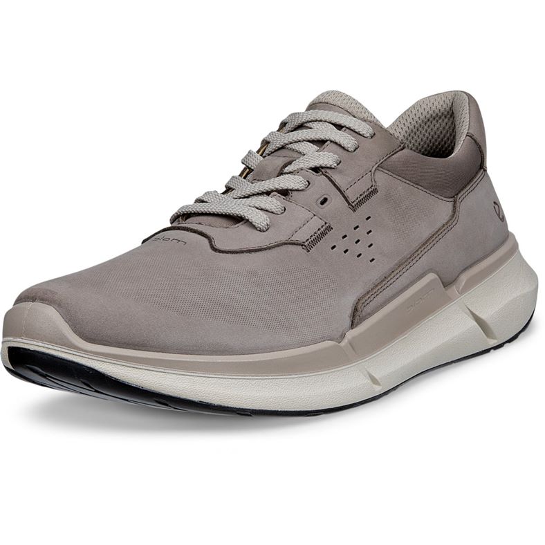 ECCO BIOM 2.2 M (Grey)
