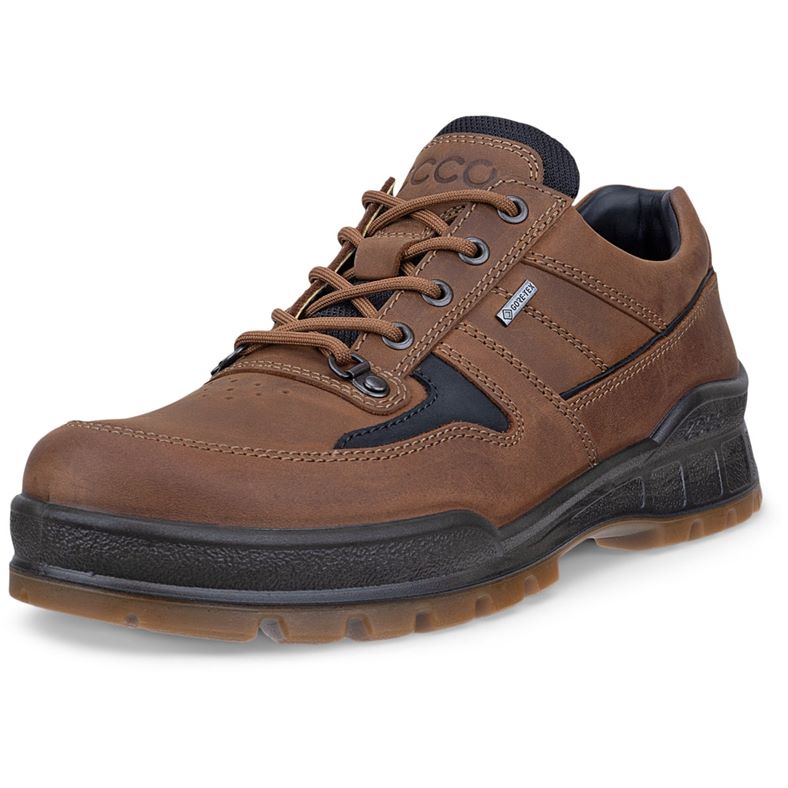 ECCO TRACK 25 M (Brown)
