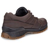 ECCO TRACK 25 M (Brown)