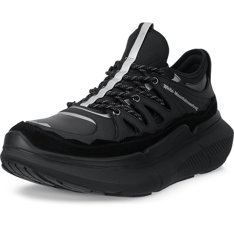 ECCO BIOM 2.2 MAX M (Black)