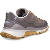 ECCO BIOM 2.2 TRL M (Grey)