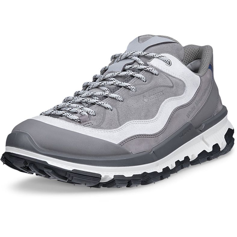 ECCO BIOM 2.2 TRL M (Grey)