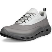 ECCO BIOM 720 M (Grey)