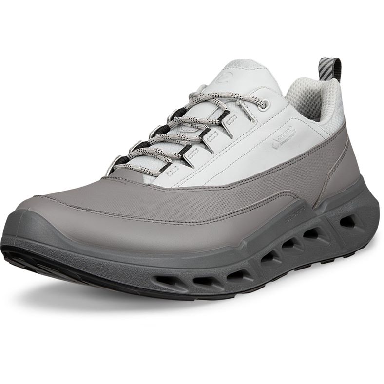 ECCO BIOM 720 M (Grey)
