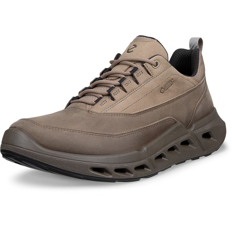 ECCO BIOM 720 M (Beige)